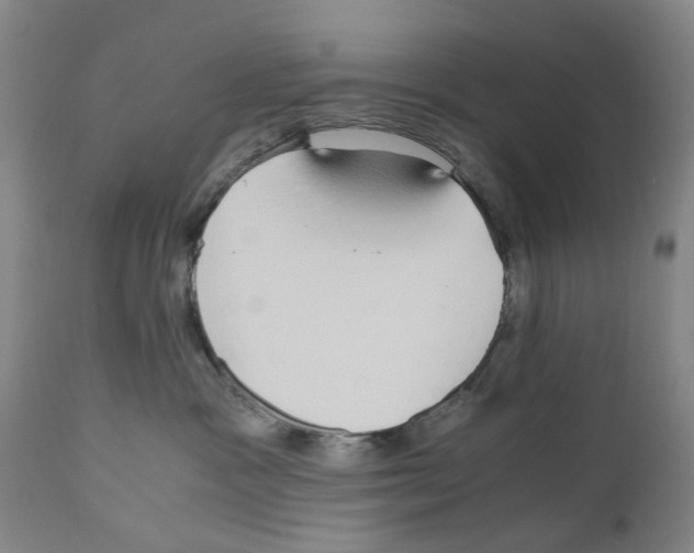 X0000110950333200907311048
