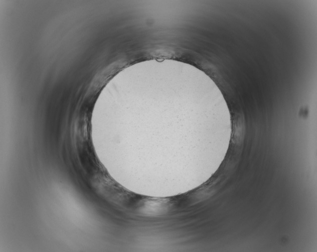 X0000110950334200907311048