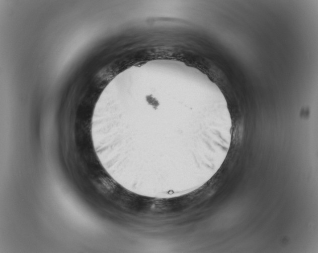 X0000110950335200907311048