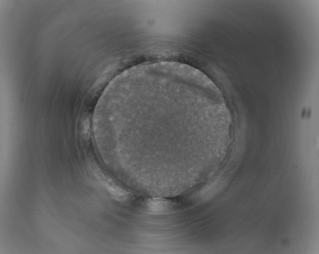 X0000110950336200907311048