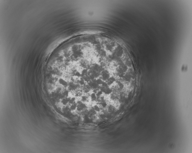 X0000110950337200907311047