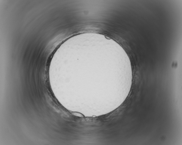 X0000110950338200907311047