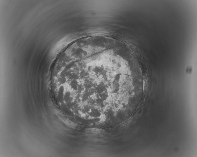 X0000110950339200907311047