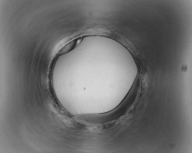 X0000110950340200907311047