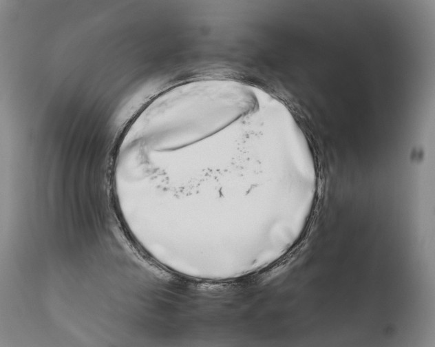 X0000110950341200907311047