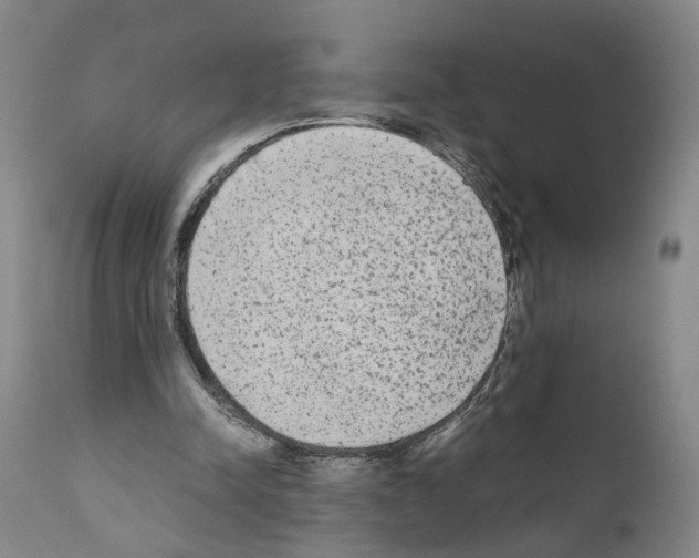 X0000110950342200907311047