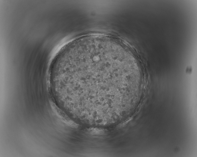 X0000110950343200907311047