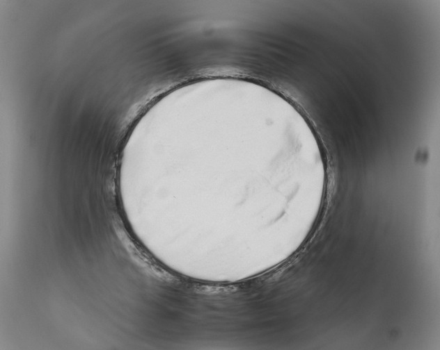 X0000110950345200907311047