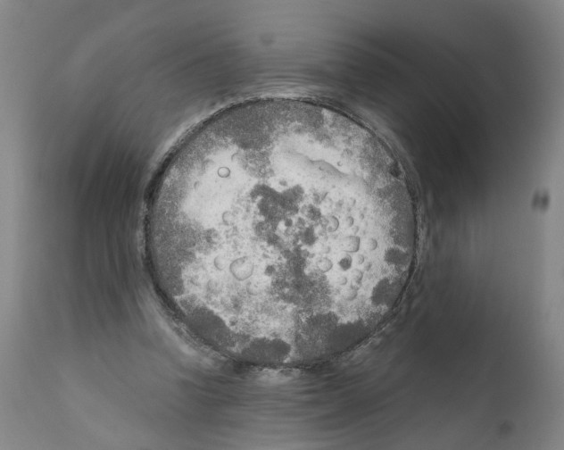 X0000110950346200907311047