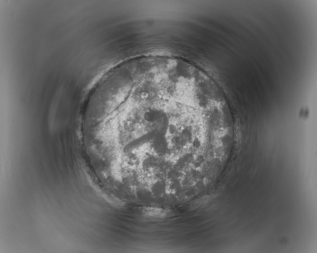 X0000110950347200907311047