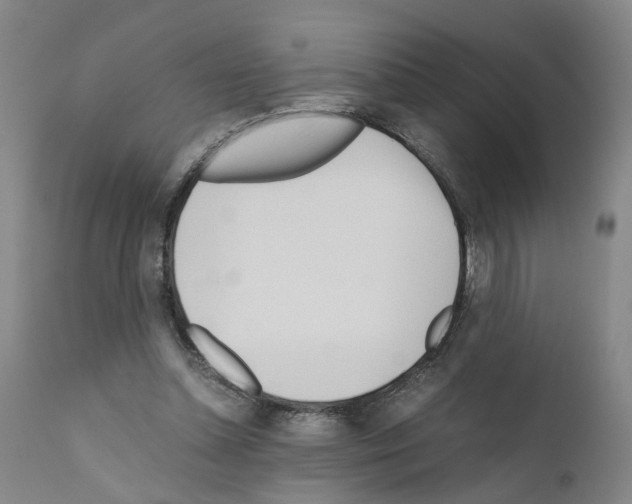 X0000110950348200907311047