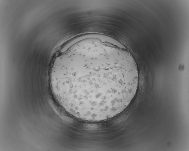 X0000110950349200907311047