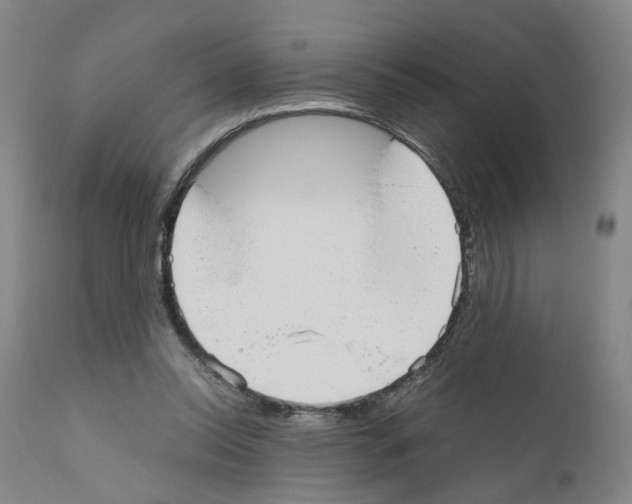 X0000110950350200907311047