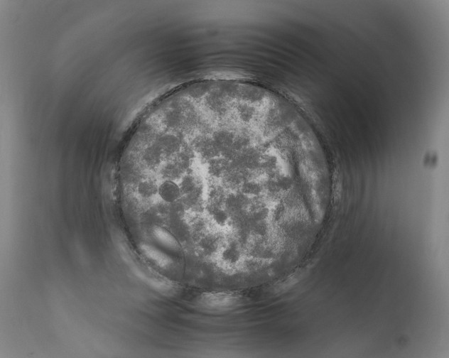X0000110950351200907311047