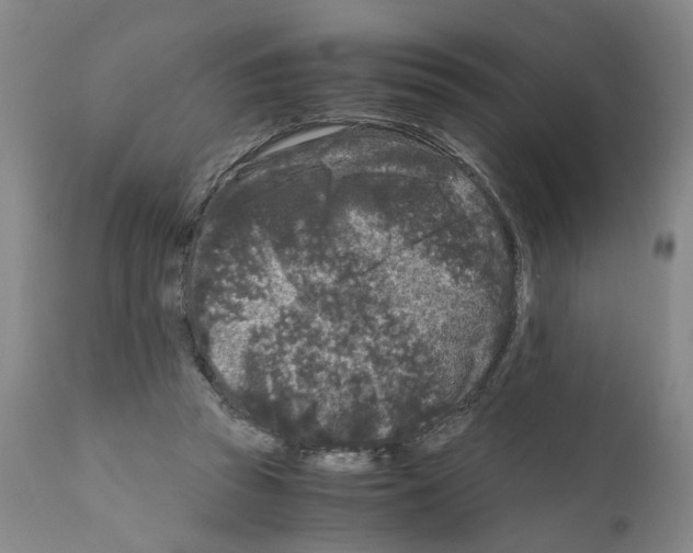 X0000110950353200907311047