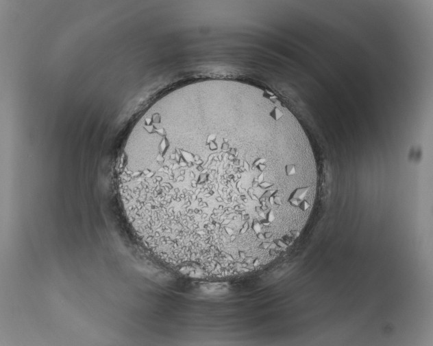 X0000110950355200907311047