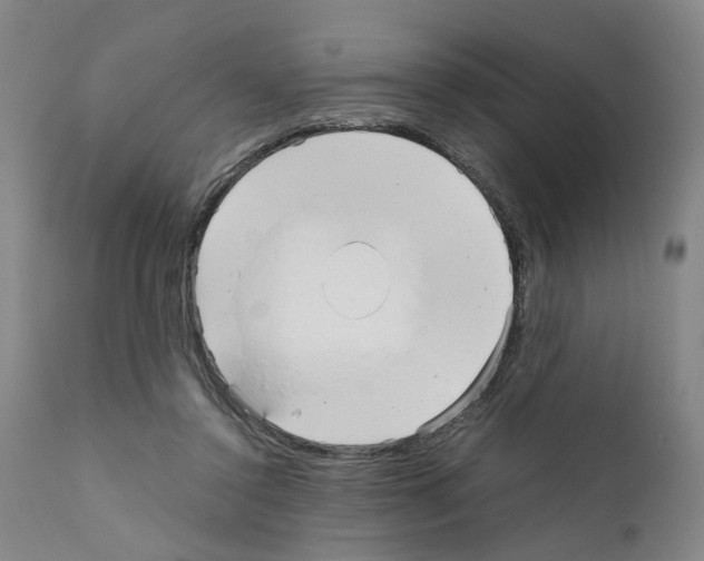 X0000110950356200907311047