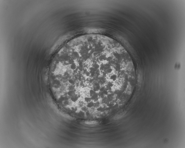 X0000110950357200907311047