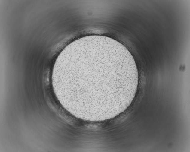 X0000110950358200907311047