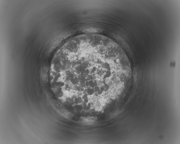 X0000110950359200907311047