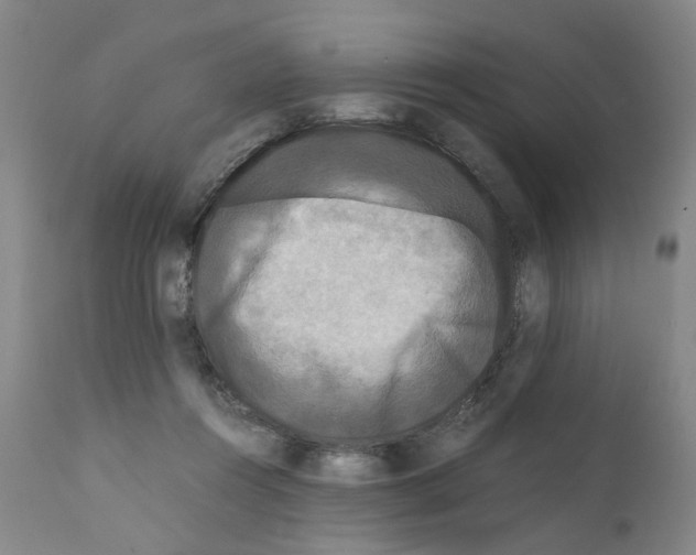 X0000110950360200907311047