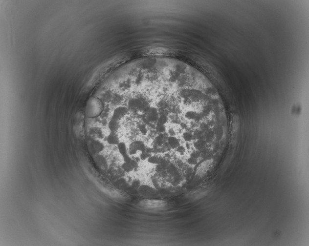 X0000110950361200907311047