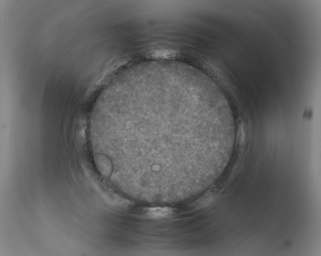 X0000110950363200907311047