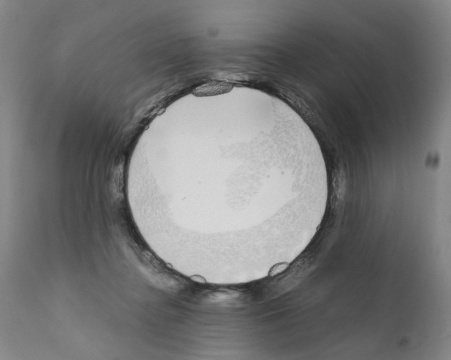 X0000110950364200907311047