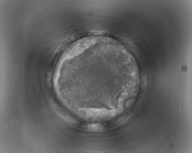 X0000110950365200907311047