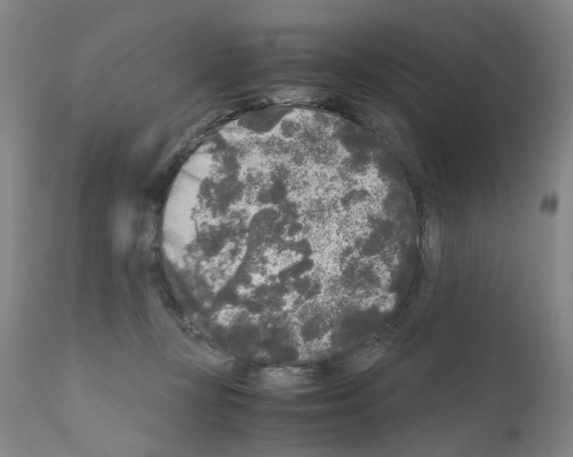 X0000110950367200907311048
