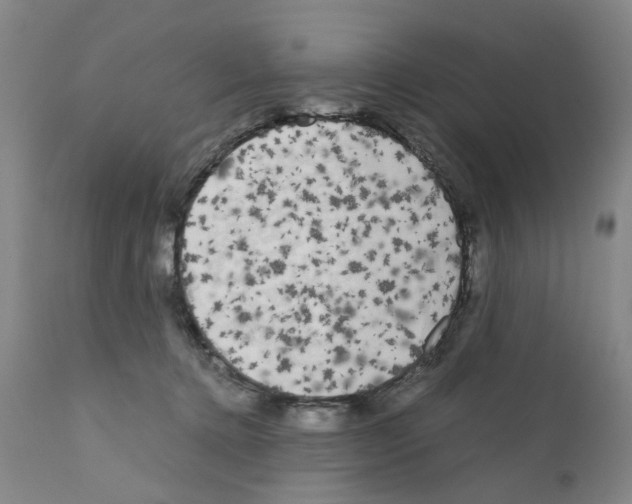 X0000110950368200907311048