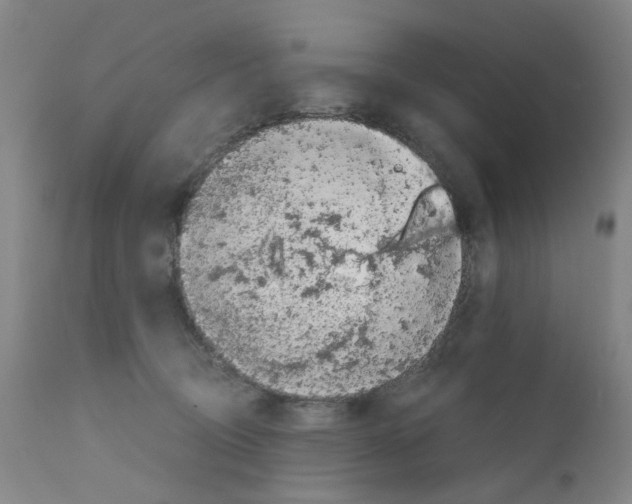 X0000110950370200907311048
