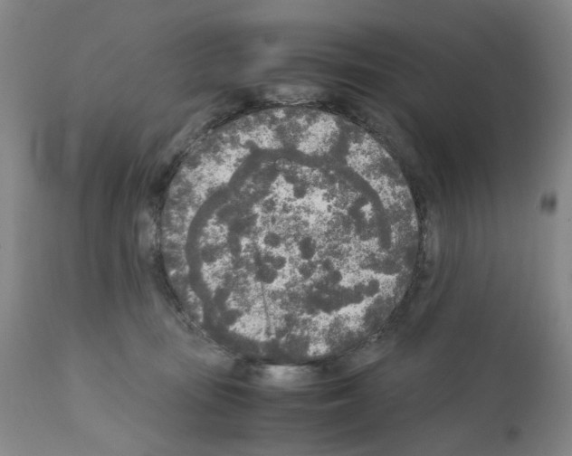 X0000110950371200907311048