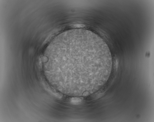 X0000110950373200907311048