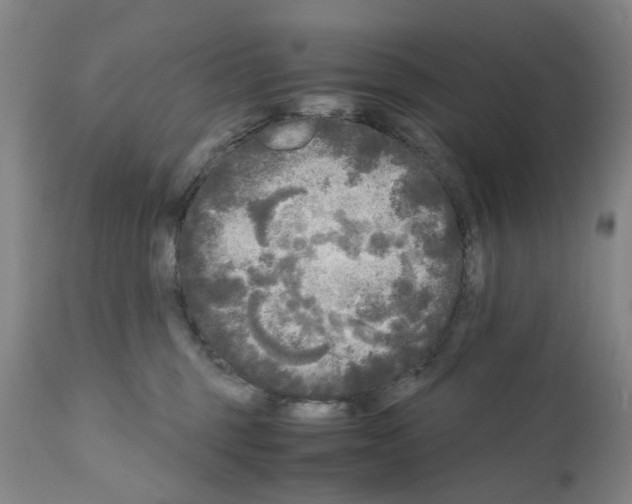 X0000110950375200907311048