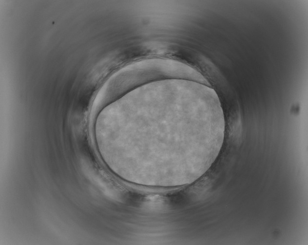 X0000110950376200907311048