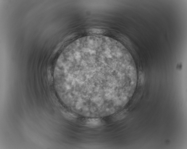 X0000110950377200907311048