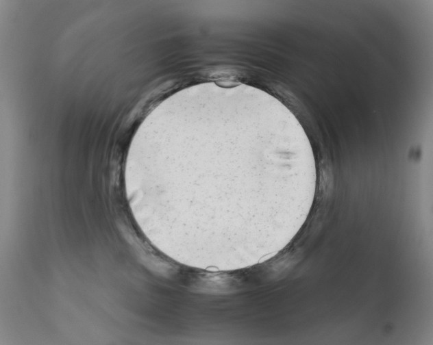 X0000110950379200907311048