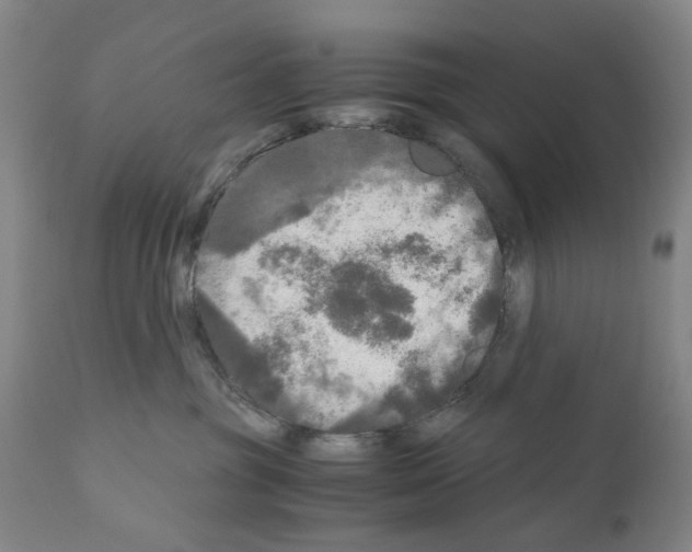 X0000110950381200907311048