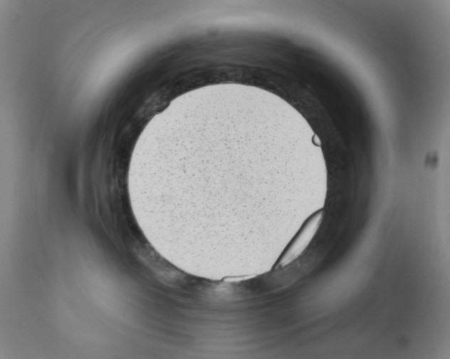 X0000110950382200907311048