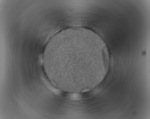 X0000110950383200907311048