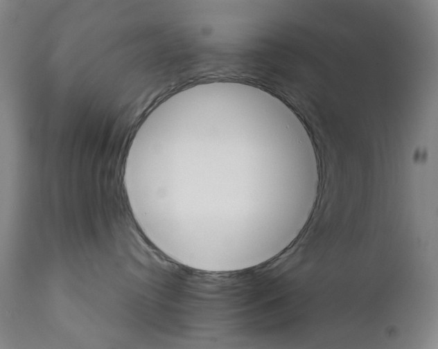 X0000110950384200907311048