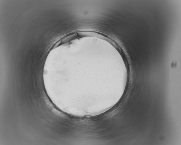 X0000110950385200907311047