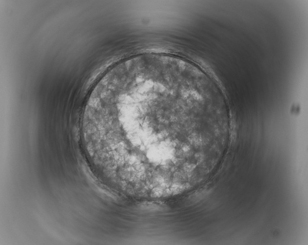 X0000110950386200907311047