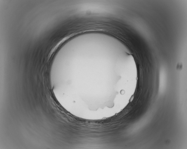 X0000110950387200907311047