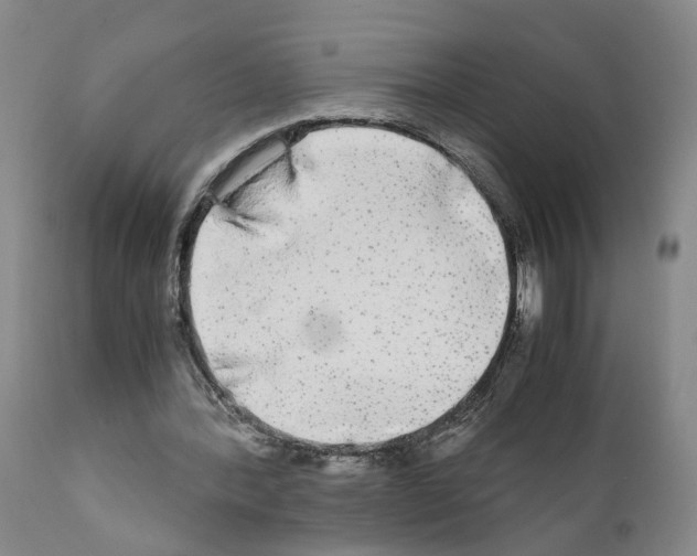 X0000110950388200907311047
