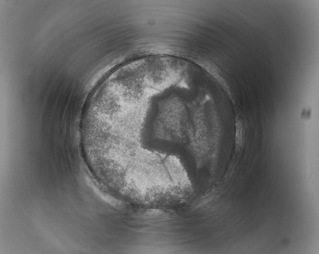 X0000110950390200907311047