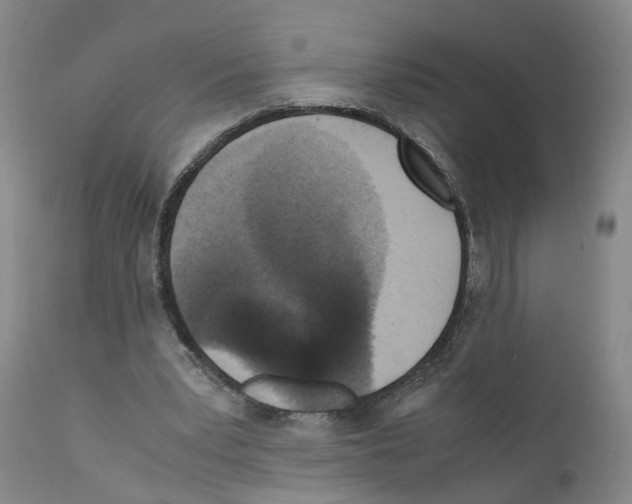 X0000110950391200907311047