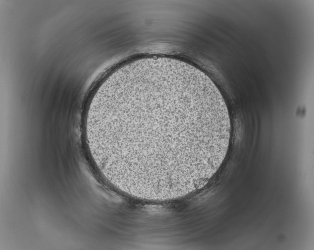 X0000110950392200907311047