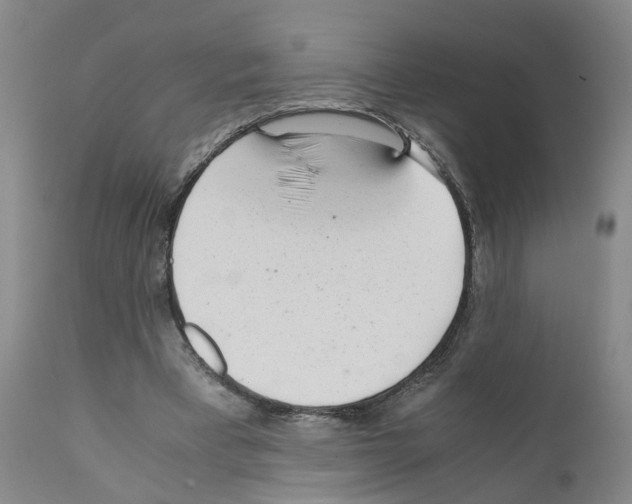 X0000110950393200907311047